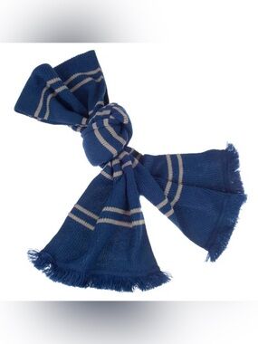 Authentic Harry Potter Ravenclaw Blue and Gray Striped Knit Scarf with Fringe